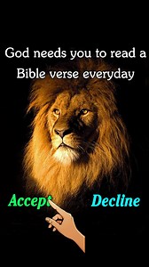 453 reactions · 28 shares | King James Bible. All for Free. 20 minutes a day, get Closer to God. | King James Bible Study | Facebook
