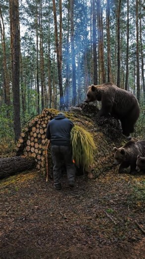 #Survival #Bushcraft #Treehouse #SurvivalHacks #foryoupage❤️❤️