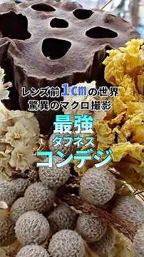 レンズ前1cmの世界。驚異のマクロ撮影！
