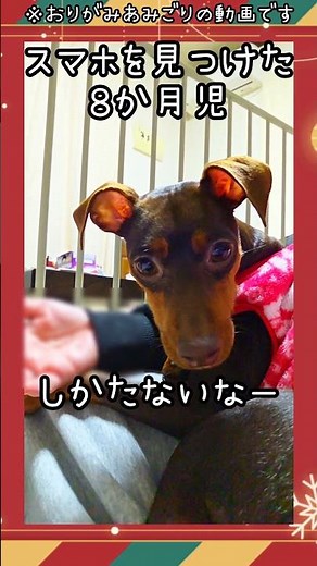 (番外編)折り紙アシスタント候補 スマホみーつけた！(完全版) #簡単な折り紙 #折り紙