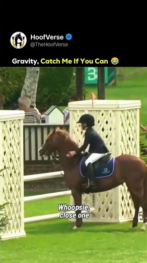Gravity, Catch Me If You Can 😂 #horse #equestrian #shorts