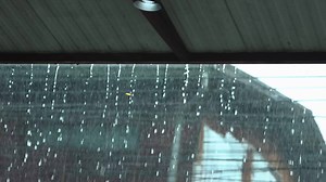 Download Slow motion of raindrops water background for free