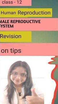 Male Reproductive system #biology