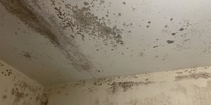 Former Spring Hill College student sues over mold in campus housing, court documents say