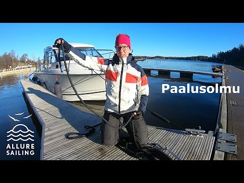 Paalusolmu