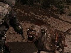 New standalone STALKER this year - VideoGamer