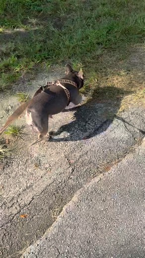 1.4K views · 13 reactions | Perfect for walks, hikes, trips, and hot...