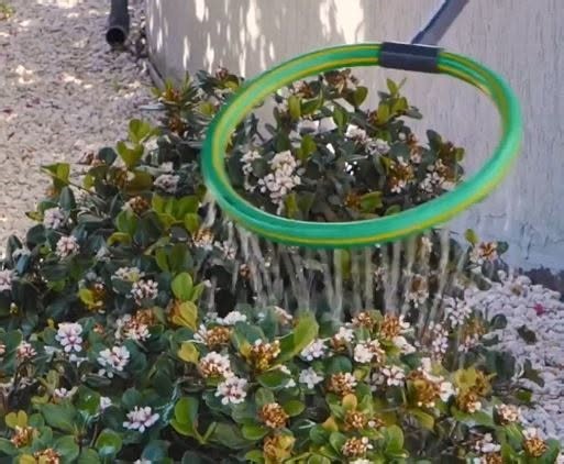 1.4M views · 5.9K reactions | DIY Garden Magic! Unexpected Tricks That Actually Work | 5-Minute Crafts | Facebook