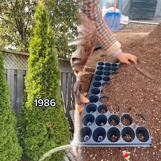 Hose water just hits different 🙌 #80s #dadsoftiktok #water #dadjokes #genz