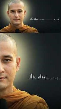 The 5 Precepts for Modern Life | Buddhist Dharma Talk Channel #shorts