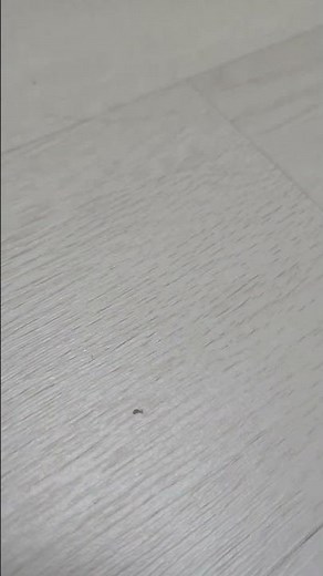 읽으면서 바로 써먹는 어린이 공포의 수학퍼즐 2