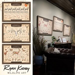 The "Art of Hunting" bundle features three of my most popular whitetail prints. Combining anatomically accurate sketches as well as facts and figures, these prints will be the talk of hunt camp! Save 20% when you purchase the bundle. Only available at ryankirby.com | Ryan Kirby Art