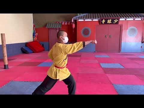 Shaolin Kung Fu Livestream 25· Shaolin online training