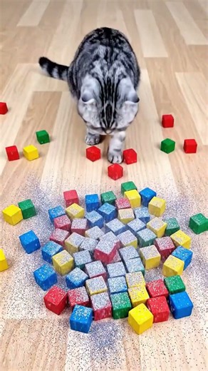 Cute Cat Barsik with Beads 💗 Reverse VIdeo 🐾 #shorts #viralshorts #asmr