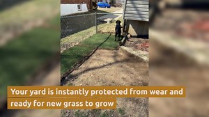 Natura PowerRun 10377011 Outdoor Artificial Grass for Dogs, Turf Grass Patch Blends in with Natural Grass, Keeps Paws and Homes Clean, 3 ft. x 25 ft., Green