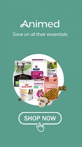 Save up to 15% off EVERYTHING! Spend more to save more, no code needed. | Animed