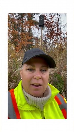 Bat Week 2022: Bat House Tips