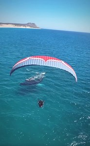 Every winter, humpback whales migrate to the warm waters of Mexico’s Gulf of California to give birth and raise their young. An incredible encounter flying low over a mother, calf, and escort humpback whale who did not mind the company. Video by skypacking #MarineMonday #Whale #wildlife | Discovery