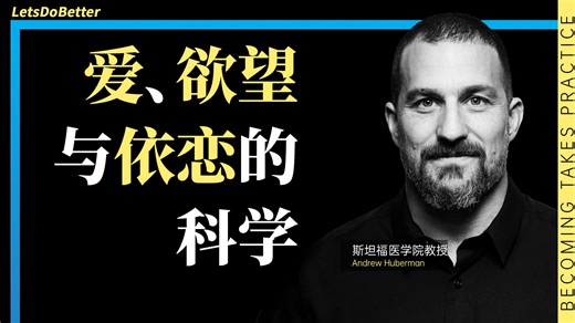 （中英校译）爱、欲望与依恋的科学 | Huberman Lab 精华版【LetsDoBetter vol.42】