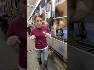 Fun on the Farm with Farmer Katie Day 4 | Milking Cows