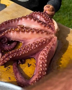 Fried a Sea Octopus on a Homemade Grill! Mediterranean Cuisine 🔥 #octopus #seafood #cooking | Aftab Dogra