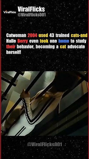 Halle Berry Trained With 43 Cats for Catwoman! 🐈‍⬛🔥