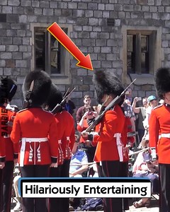 36K views · 236 reactions | Hilariously Entertaining | Barbie Blank | Facebook