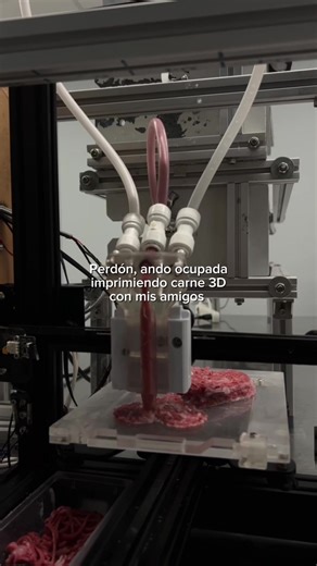 3D Meat Printing Technology: What You Need to Know