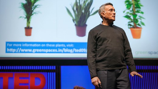 How to grow fresh air