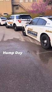 3.1K views · 1.8K reactions | Happy Hump Day. We’re back to it—Crisis Intervention Training (CIT) continues today. This training is an important part of how we show up for our community and each other, especially in high-stress situations involving mental health. Let’s stay focused, keep learning, and take these tools seriously. They make a difference. | Kirsten Zaagman | Facebook