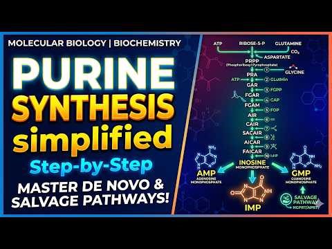 Purine Synthesis | Dr. W. Jefferson | MD SGT