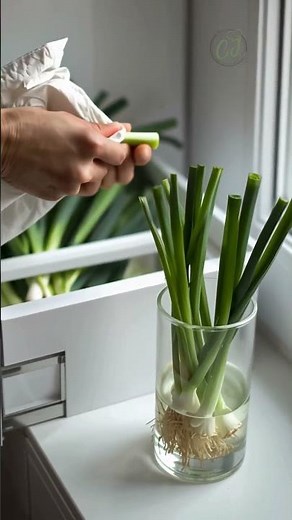 Spring Onions 101 🌱 (Use, Cook & Store Like a Pro)