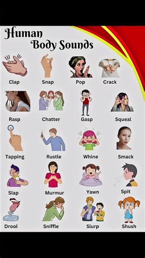 Human Body Sound #humanbodyfact #bodysounds