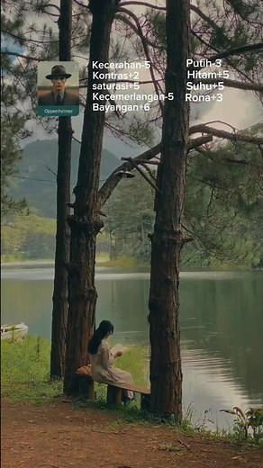 Colour Grading CapCut#tutorialcapcut#filteraesthetic #tutorial