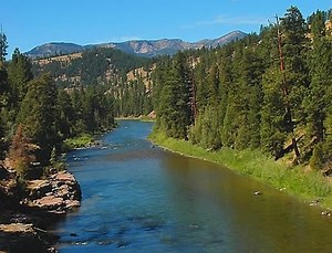 DIY Guide to Fly Fishing the Blackfoot River in Montana | DIY Fly Fishing