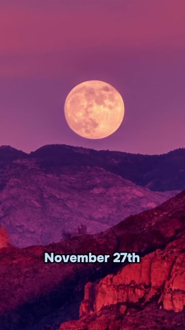 Star Walk 2 — Best Astronomy App 💫 on Instagram: "Top Astronomy Events of November 2023 ✨ ⭐ November 3: Jupiter opposition 🌙 November 9: Lunar occultation of Venus 🌠 November 18: Leonids’ peak 🌕 November 27: Full Beaver Moon #astronomy #starwalk #stargazing #beavermoon #jupiter"