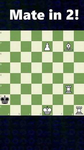 Vertical Castling!!! CHESS loophole!