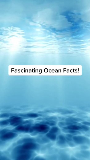 Discover Amazing Ocean Fun Facts!