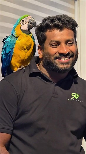 නොමිලේ ඉගෙන ගන්න ආස අයට... අමුතුම පන්තියක්! 🦜📚 සමාජ මාධ්‍ය (Social Media) ගැන දැනුම හොයන ඔයාලට, සාම්ප්‍රදායික පන්තියකට එහා ගිය අලුත්ම අත්දැකීමක්! උගන්වන්න මම විතරක් නෙවෙයි, මගේ මේ යාළුවත් සූදානම්. 😍 අපේ