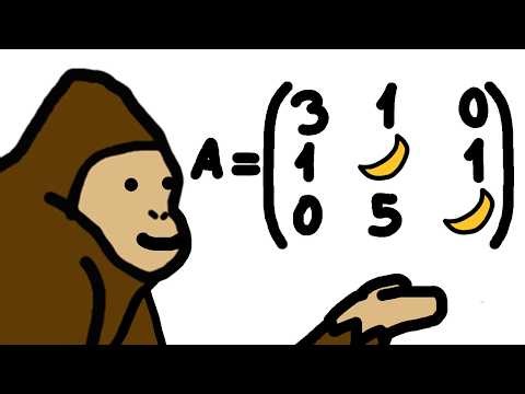 What are MATRICES? Explained with BANANAS