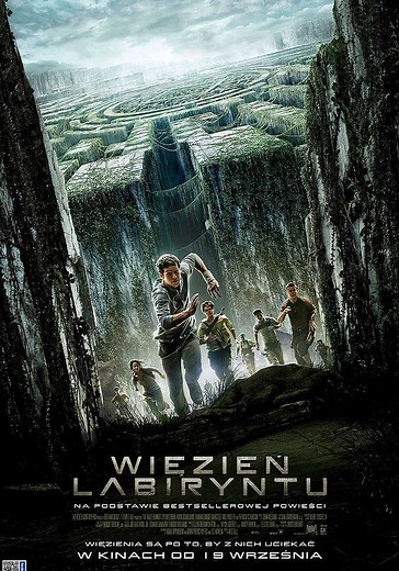 Więzień labiryntu - streaming: gdzie obejrzeć online?