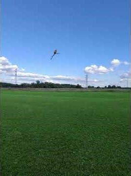 Specter Tri Blade 8s - Test 1600rpm