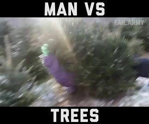 Tree Fails
