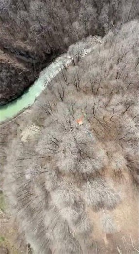 Bungee Jump Gone Wrong, Stuck in a Tree 😱 #bungeejump #fail #extreme