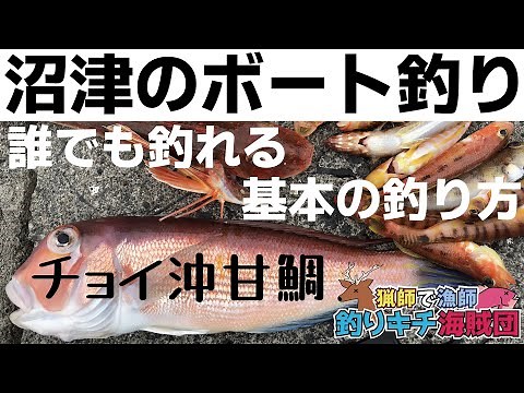 沼津貸しボート★海星から誰でも釣れる甘鯛の釣り方をお伝えします｜猟師で漁師「釣りキチ海賊団」