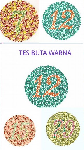 Scratch Tutorial: Create Your Own Color Blindness Test in Scratch! Cool & Educational #colorblind...