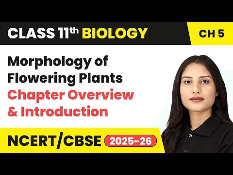 Morphology of Flowering Plants - Chapter Overview & Introduction | Class 11 Biology Chapter 5 | CBSE