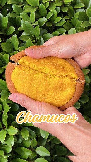 CHAMUCOS 🌞🇲🇽 Originating from Calvillo, Aguascalientes, this beloved pan dulce is a staple in Mexican panaderías. Crafted from a coil of pan fino dough—also used in Girasoles, Panaderos, or Cuernitos de Canela—it's rolled into a ring and filled with sweet pasta, creating a perfect contrast of textures and flavors. Swing by and try one! 😋🥐 Available at all four locations. Find a location near you by visiting ElBolillo.com #ElBolilloBakery #TrySomethingNew #pandulce #panaderia #houstonbakery 