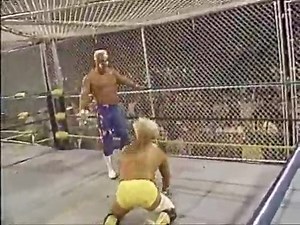 24.02.1991 WCW Wrestle War aired live and was headlined by a certifiable 5 star War Games match as Flyin Brian Pillman, Sting and The Steiners took on The Four Horsemen! Enjoy it in full RIGHT HERE! 👇👇👇 | Wrestle Plug Podcasts