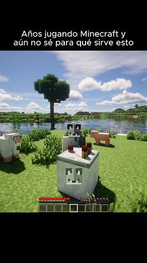 Años jugando Minecraft y no se para que sirve 🤔 #minecraft #minecraftpe #minecraftmemes #reel | Video 333